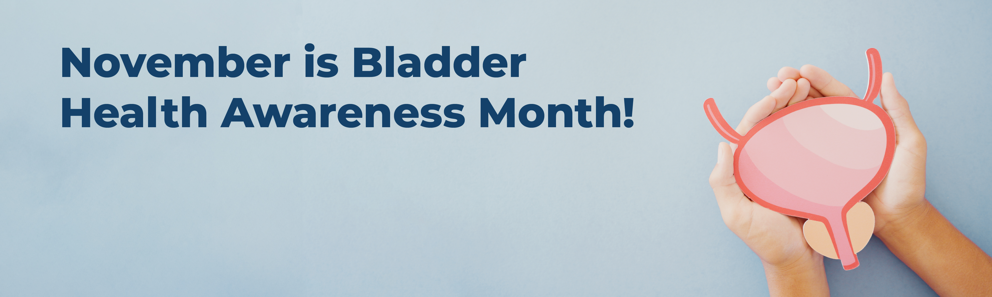 Bladder